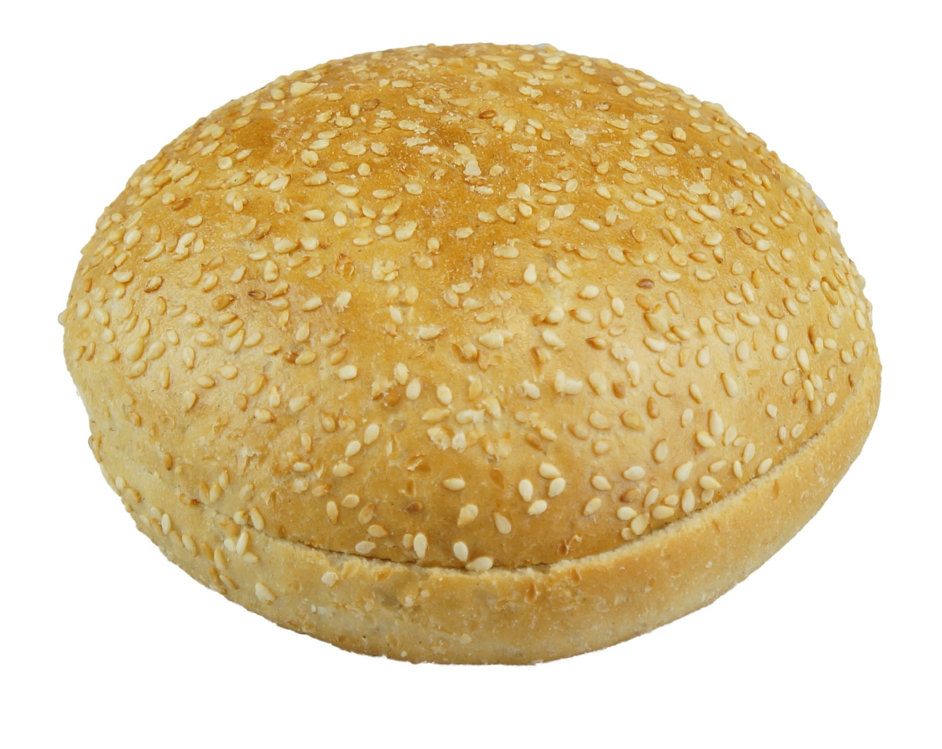 Article image_Hamburger Bun with Sesame Seeds