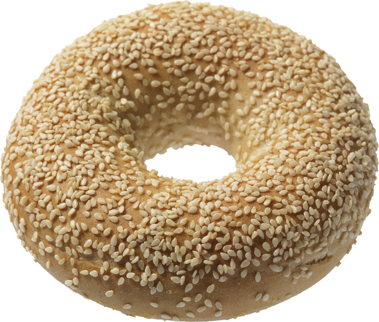 Article image_Sesame Seeds Bagel